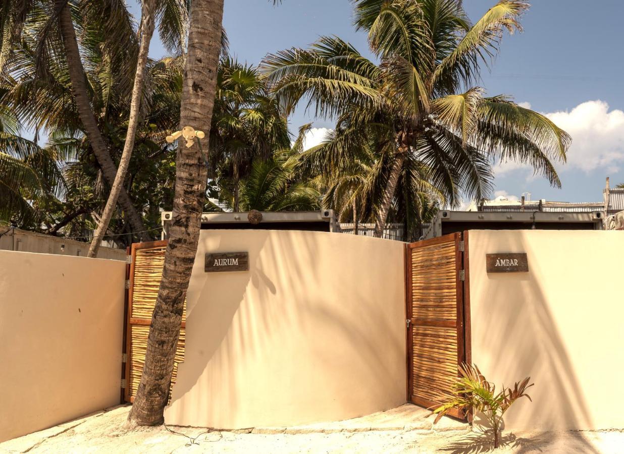 Alquimia Hotel Boutique تولوم المظهر الخارجي الصورة