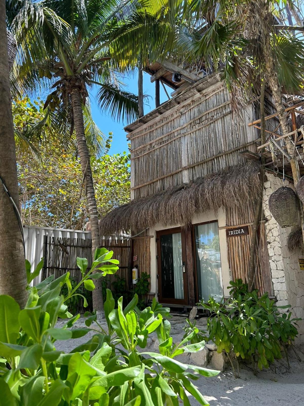 Alquimia Hotel Boutique تولوم المظهر الخارجي الصورة